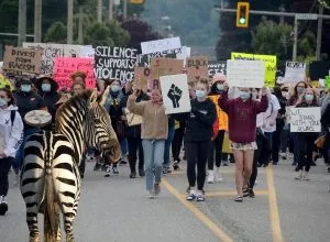 Schrodinger’s Zebra creates paradox by being both racist and non-racist