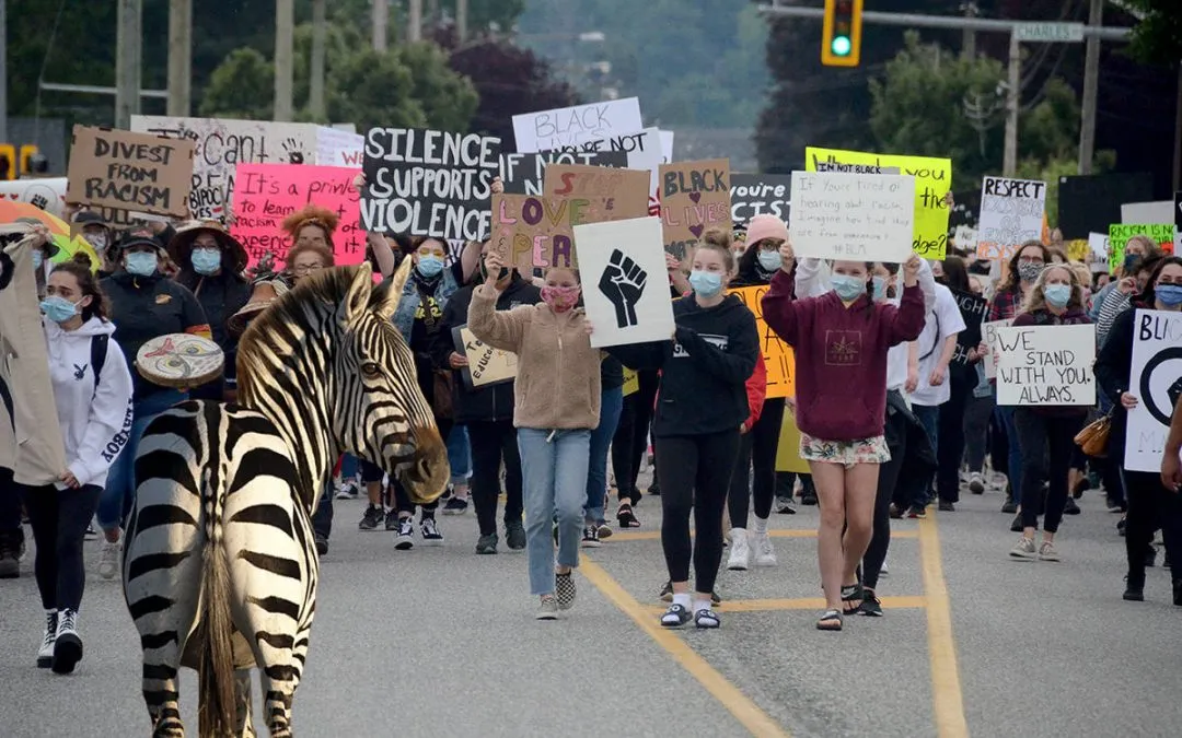 Schrodinger’s Zebra creates paradox by being both racist and non-racist